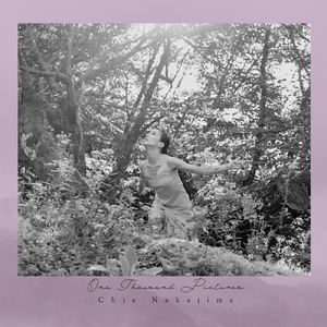 One Thousand Pictures