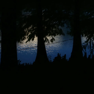 ‘‘open rain’’beat