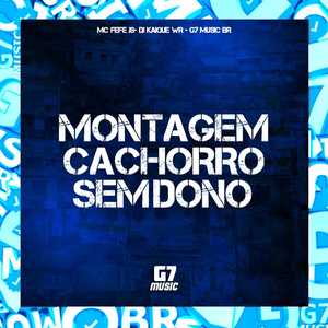 Montagem Cachorro Sem Dono