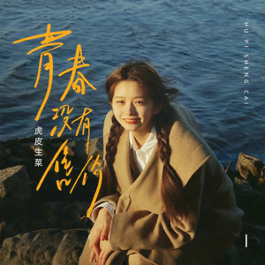 青春没有售价 (DJ阿卓版)