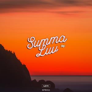 Summa Luv (Original Mix)