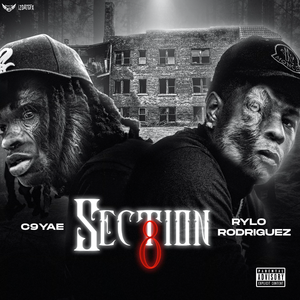 Section 8