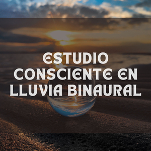 Ducha De Estudio Calmante