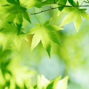 彦涵战争的洗礼