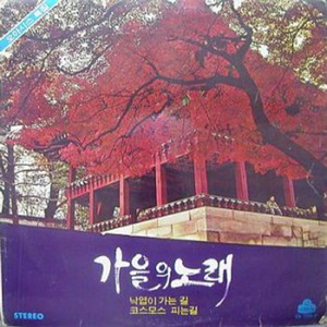 코스모스 피는길