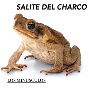 Salite del Charco