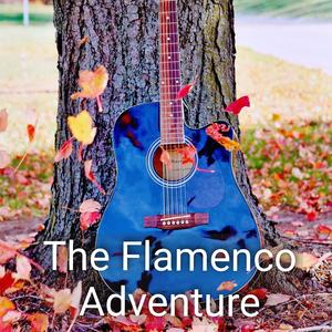 The Flamenco Adventure