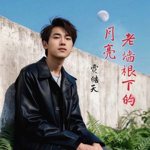 老墙根下的月亮