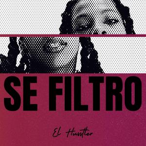 Se Filtro