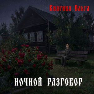 Ночной разговор