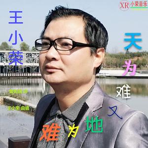 王小荣-《难为地又难为天》和声伴奏（王小荣 remix）