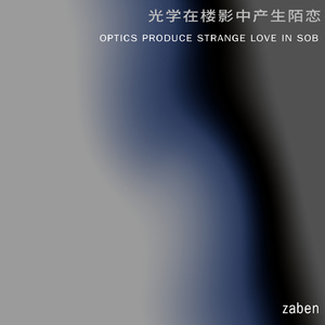 Optics Produce Strange Love in SOB(光学在楼影中产生陌恋)