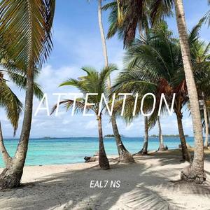 Charlie Puth-Attention（Eal7 NS remix）