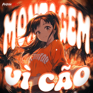 MONTAGEM VI CAO