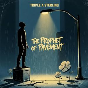 The Price of the Ticket