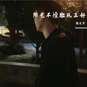阳光不燥微风正好
