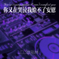 你又在哭泣我给不了安慰 (DJ沦陷版)