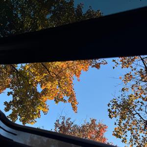 南风北巷