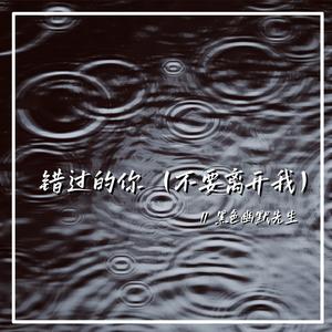 错过的你（不要离开我）