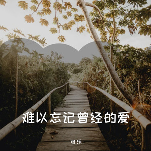 难以忘记曾经的爱