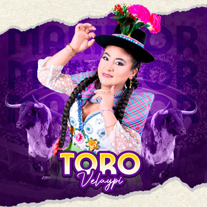 Toro Velaypi