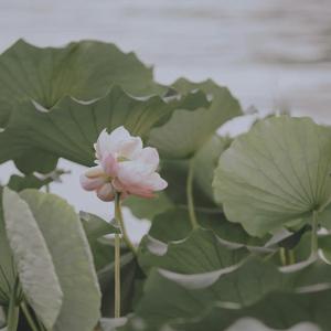 永不失联的爱mmexport1649207625818_20220406_091600