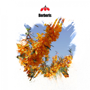 Ghostbell Chilling (Original Mix)