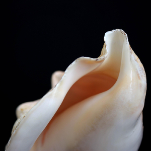 Inner World (Eusebio Sánchez Remix)