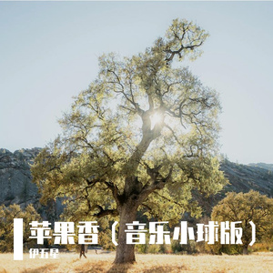 苹果香（音乐小球版）