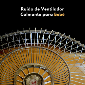 Distribución Del Ruido