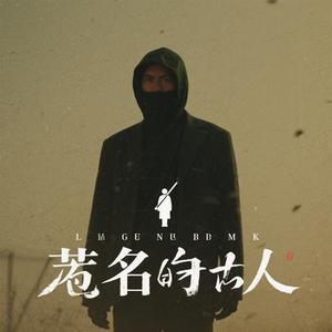 无名的人 (风无念 Remix)