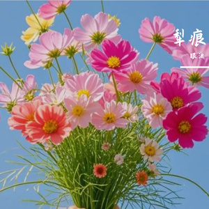 犁痕