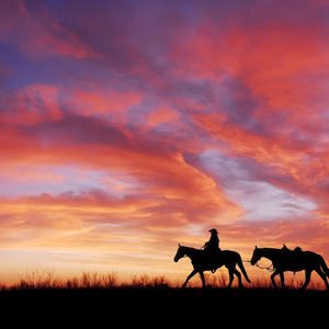 Whispers of the Wild West