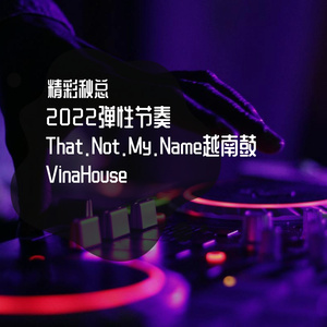 2022弹性节奏That.Not.My.Name越南鼓VinaHouse