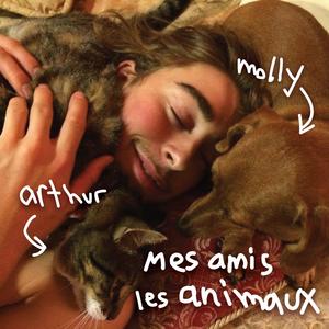 La martre d'amérique qui voulait traverser la rue (ou à bat l'establishment, le patriarcat et le racisme systémique; vive la diversité, le respect et l'écoute)