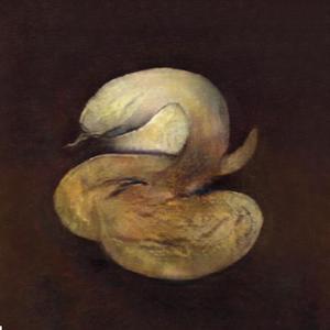 SNAKE SHII (GUITAR EDITION)