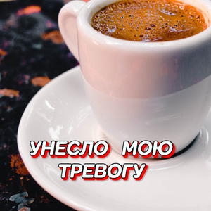 УНЕСЛО МОЮ ТРЕВОГУ