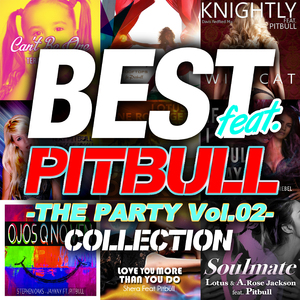 Light Up The Dark (Nizami Plus Remix) [feat. Pitbull]