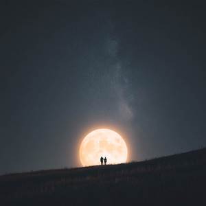 we were made for the moon