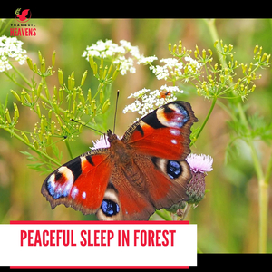 Golden Claws of Eagle