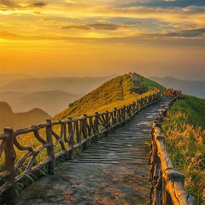 我就是我自己的主宰