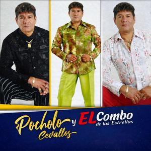 Viva la Soltería - Nueva Versión