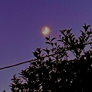 i don't wanna be here