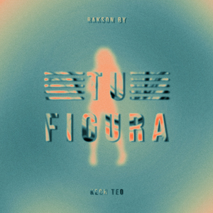 Tu Figura