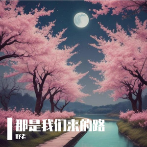 那是我们来的路