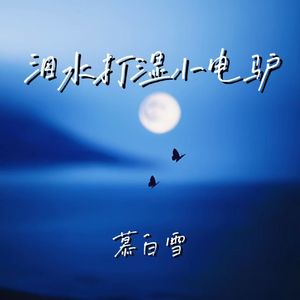 泪水打湿小电驴 (老板开着大奥迪)