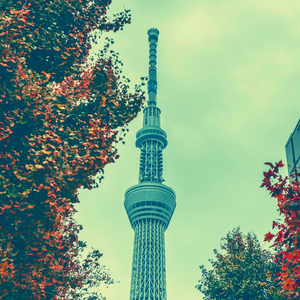 瞬間(80年代のムード)