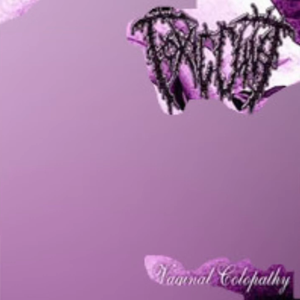 Use Once And Destroy (Final)