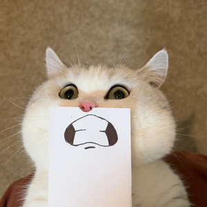 你的喵phone请接听一下 (墨飛 remix)