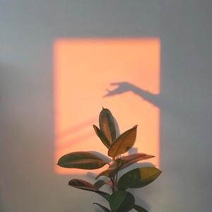 2021年终总结-李芍药